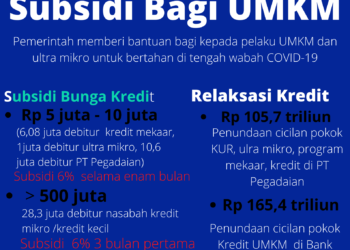 Info Grafis, Subsidi Bunga Kredit Pemerintah