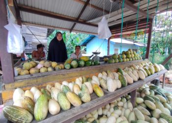 Kisah Penjual Buah di Jalan Poros Bontang Samarinda, Seharian Menunggu Tak Ada yang Beli