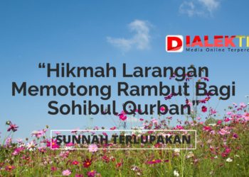 Jelang Idul Adha, Hikmah Larangan Memotong Rambut Bagi Sohibul Qurban