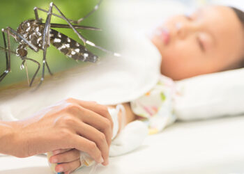 Waspada DBD, Bontang Gerak Cepat Petakan Zona Rawan