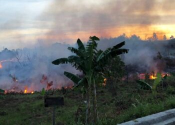 Cegah Karhutla, Disdamkartan Minta Warga Tak Bersihkan Lahan dengan Dibakar