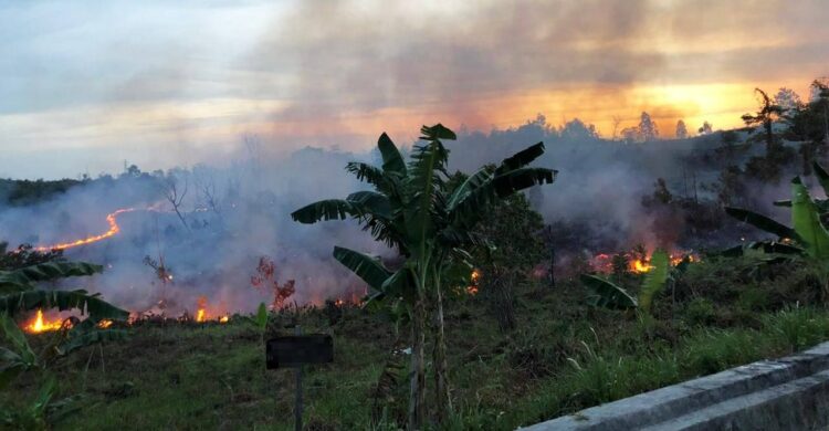 Cegah Karhutla, Disdamkartan Minta Warga Tak Bersihkan Lahan dengan Dibakar