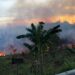 Cegah Karhutla, Disdamkartan Minta Warga Tak Bersihkan Lahan dengan Dibakar