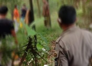 Bikin Geger, Seorang Pria Ditemukan Tewas Menggantung di Tiang Papan Reklame