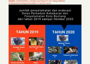 Infografis: Data Penyelamatan dan Evakuasi Disdamkartan Bontang