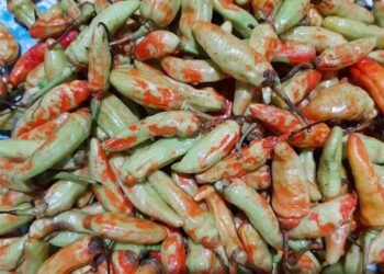 Waduh, Tergiur Perbedaan Harga, Petani Diciduk Usai Cat Cabai dengan Warna Merah
