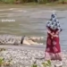 Viral, Lama Tak Terlihat Buaya Berkalung Ban Kembali Curi Perhatian