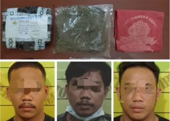 Terima Paket 235,400 Gram Ganja, Tiga Pemuda Kanaan Ditangkap