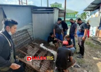 Buntuti Pencuri Sepeda, Polisi Sukses Gagalkan Peredaran 53 Poket Sabu