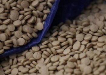 Ngeri! 12,5 Juta Pil Narkoba dari Pelabuhan Turki Menuju Saudi, Mengapa?