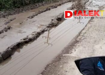 Soal Jalan di Tanah Datar, Harun Minta Gubernur Turun Tangan