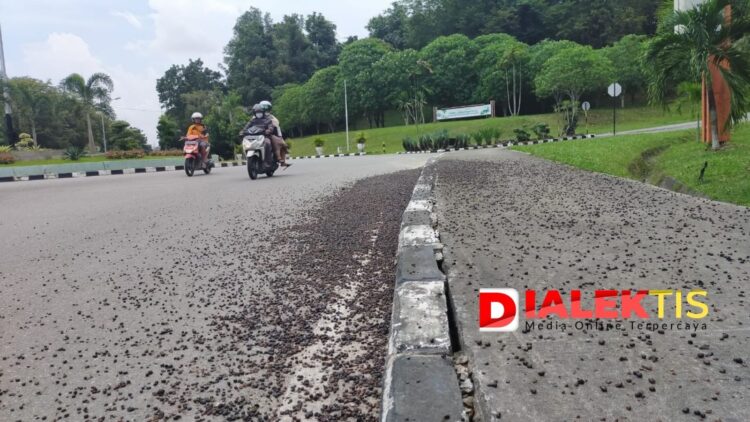 Dishub Tindak Tegas Pengangkut Kernel Sawit yang Berserakan di Jalan