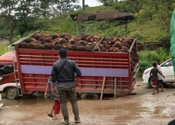 Perbaikan Permanen Jalan Rusak di Tanah Datar Masuk Tahap Lelang