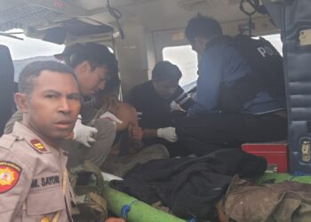 Lagi, 1 Brimob Gugur 2 lainya Luka-luka Tertembak KKB di Puncak Papua