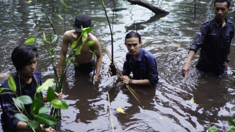 Peringati Milad ke-10, Mapala Stitek Tanam 250 Pohon Bakau