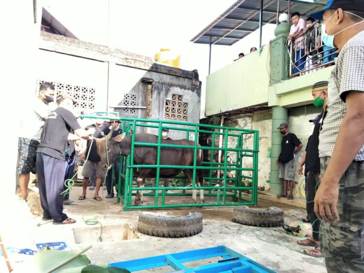 Potong Hewan Kurban, Masjid Al Ikhlas Loktuan Terapkan Protokol Kesehatan