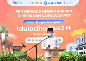 Idul Adha 1442 H, Pupuk Kaltim Potong 102 Sapi dan 60 Kambing untuk 6.000an Mustahik