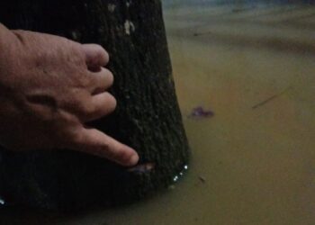 Air Mulai Surut, BPBD Sebut Sempat Rendam Sejumlah Titik di 4 Kelurahan