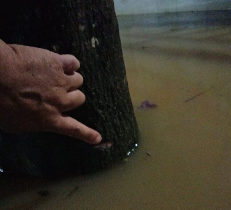 Air Mulai Surut, BPBD Sebut Sempat Rendam Sejumlah Titik di 4 Kelurahan