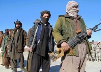 Wakil Ketua MUI Curiga Usaha Tiongkok Rangkul Taliban, Sebut Ancaman Jebakan Hutang