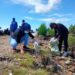 WCD, Ratusan Relawan Jarah Sampah di Pantai Citra Lestari Bontang