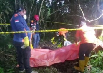 Fakta Baru Kasus Pembunuhan Wanita Cantik Asal Kutim di Samarinda