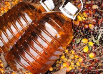 Harga Minyak Goreng di Bontang Naik, Dikeluhkan Pembeli