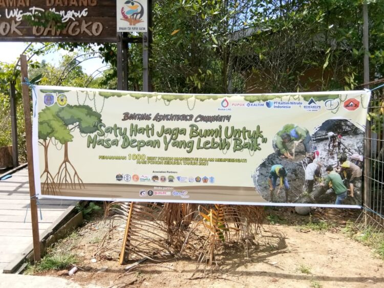 KPA Bontang Adventurer Tanam 500 Mangrove di Hari Pohon Sedunia