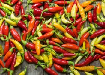 Naik, Harga Cabai Rawit di Bontang Tembus Rp 70 Ribu/Kg