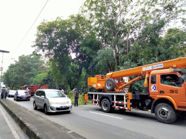 Antisipasi Pohon Tumbang, PKT Kerahkan Mobil Crane