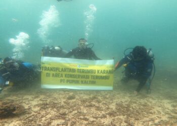 12 Tahun Berjalan, Program Rehabilitasi Terumbu Pupuk Kaltim Jadi Rumah Ternyaman Puluhan Spesies Ikan di Bontang