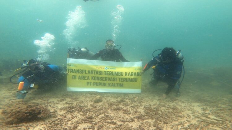 12 Tahun Berjalan, Program Rehabilitasi Terumbu Pupuk Kaltim Jadi Rumah Ternyaman Puluhan Spesies Ikan di Bontang