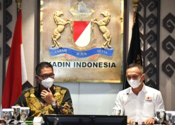 Techno-Commercial Dirancang, PLN Jangan Sekedar Mengejar Penetrasi EBT