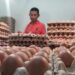 Harga Telur di Bontang Meroket, Ukuran Jumbo 1 Rak Sudah Rp 61 Ribu
