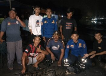 Perjuangan Petugas Evakuasi Buaya 2 Meter di Tj Limau, Dijerat dengan Tali