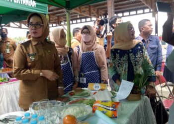 Menu Olahan Ikan Dinilai Dapat Percepat Penanganan Stunting