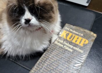 DPR Undangkan RKUHP Baru, Selamat Tinggal KUHP Warisan Belanda