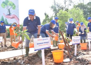 Tekan Emisi Karbon, Pupuk Kaltim Tanam 23 Ribu Pohon di 2022
