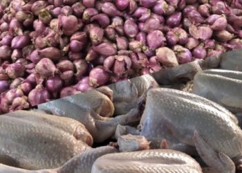 Harga Daging Ayam dan Bawang di Pasar Loktuan Kompak Naik