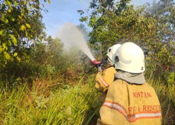 1,2 Hektare Lahan di Bonles Terbakar, Damkar Berjibaku Agar Tidak Meluas