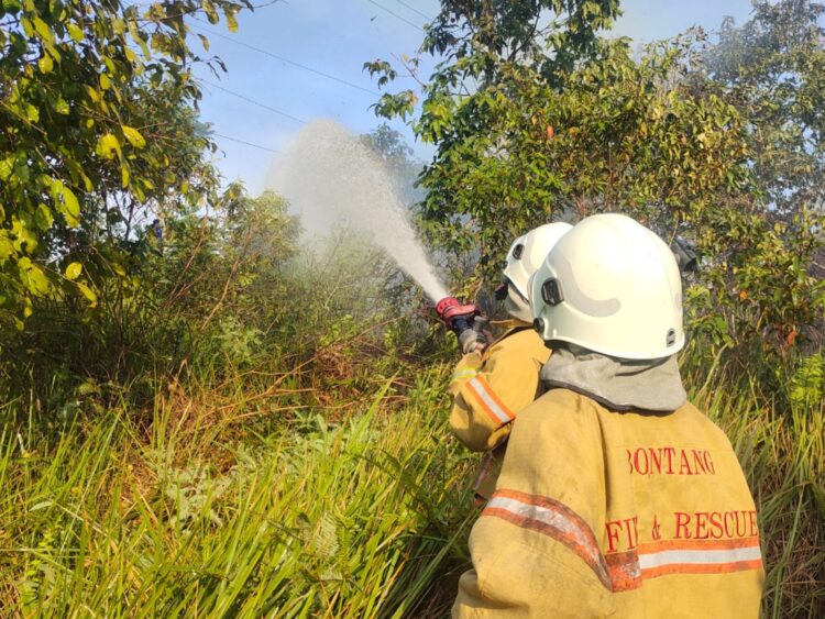 1,2 Hektare Lahan di Bonles Terbakar, Damkar Berjibaku Agar Tidak Meluas