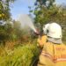 1,2 Hektare Lahan di Bonles Terbakar, Damkar Berjibaku Agar Tidak Meluas