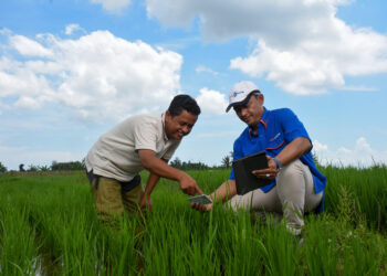 Pasca Idul Fitri 2023, Pupuk Kaltim Pastikan Stok Dalam Kondisi Aman