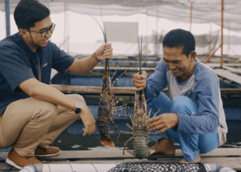 Kembangkan Program Keramba Jaring Apung, Badak LNG Belajar ke Pupuk Kaltim