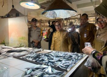 Monitoring Pangan Jelang Iduladha, Wawali : Harga dan Pasokan Masih Stabil