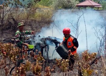 Tren Karhutla Menurun, BPBD Bontang Sebut Berkat Kerja Sama Masyarakat