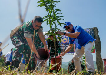 Konsisten Terapkan Prinsip ESG, Pupuk Kaltim Kembali Gandeng KOSTRAD Tanam Lebih Dari 63 Ribu Pohon