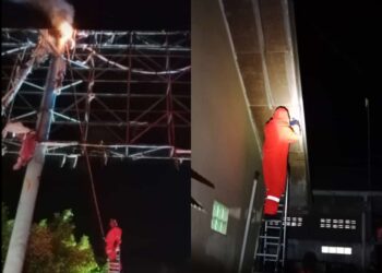 Damkar Bontang Tangani Tiga Sarang Tawon di Pemukiman Warga