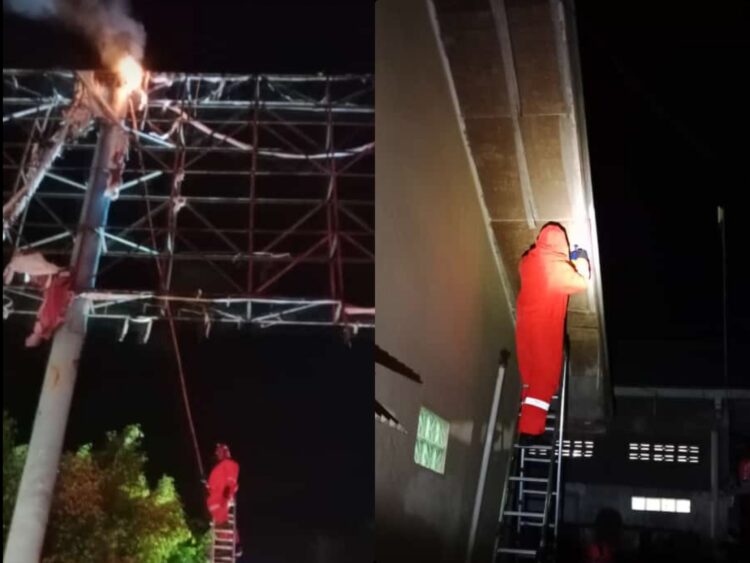 Damkar Bontang Tangani Tiga Sarang Tawon di Pemukiman Warga