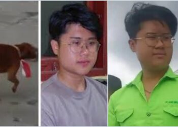 Pasang Bendera Merah Putih di Leher Anjing, RH Terancam 5 Tahun Penjara